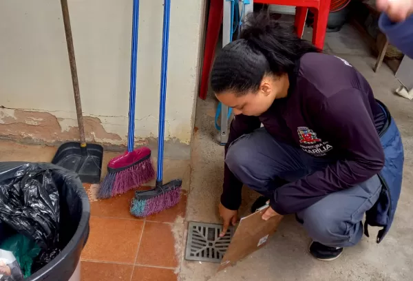 Com casos positivos em queda, infestação do mosquito da dengue terá novo levantamento em Marília