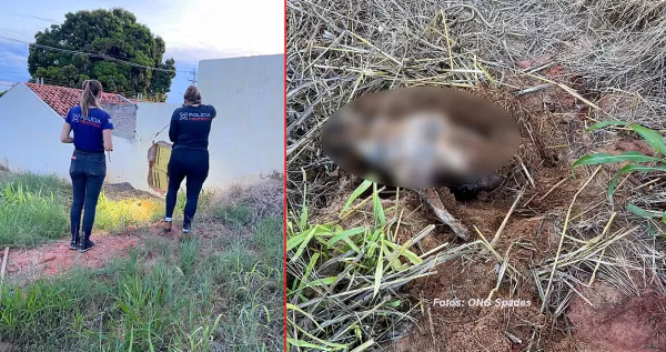 Mais um animal é cruelmente morto em Marília. Desta vez enforcado