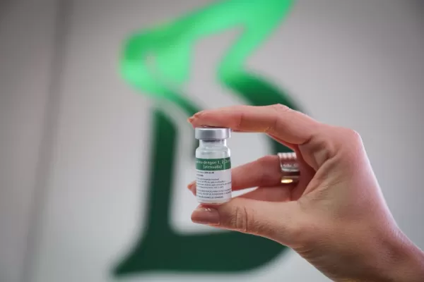 Vacina da dengue do Instituto Butantan previne contra todos os tipos da doença e será aplicada em massa neste domingo