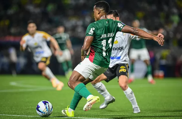 Palmeiras está com uma mão na taça do Paulistão