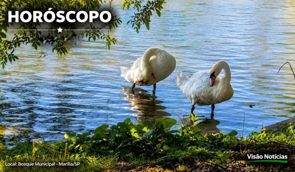 Horóscopo desta sexta-feira: boas notícias e encontros podem surpreender os signos