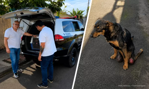 Mulher é presa em flagrante por maus-tratos a cão durante operação em Garça