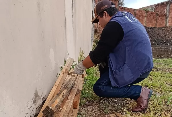 Com 215 acidentes só neste ano, Saúde captura escorpiões em Marília 