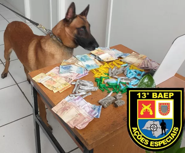Equipe K-9 do BAEP ajuda DISE a apreender drogas em Marília