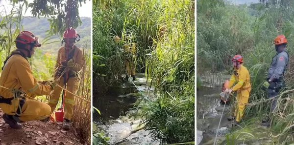 Bombeiros concluem operação para retirar corpo de penhasco na zona norte de Marília