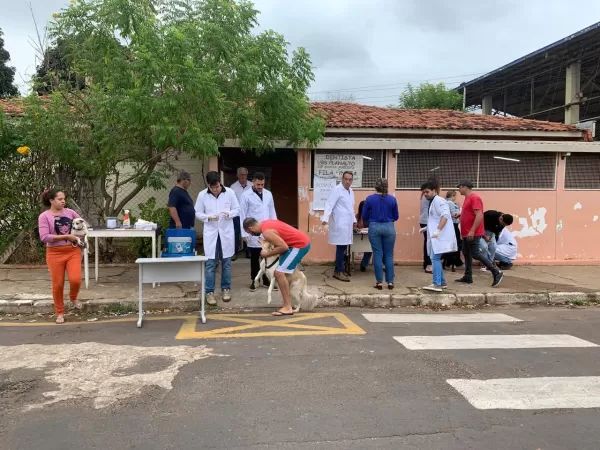 Marília terá primeira campanha de vacinação antirrábica neste sábado