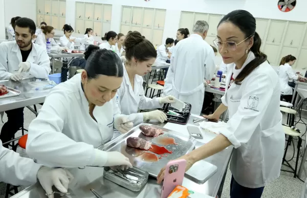 Medicina Unimar realiza aula prática de dissecação de coração com a participação de  ligas acadêmicas 