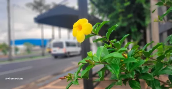 Sábado de carnaval também tem Horóscopo! 