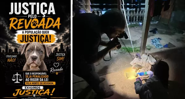 Após quase três meses, morte do cãozinho 