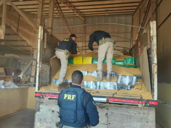 PRF apreende cinco toneladas de maconha transportadas em carga de milho