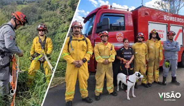 Cão cai de penhasco e mobiliza Bombeiros em Marília 