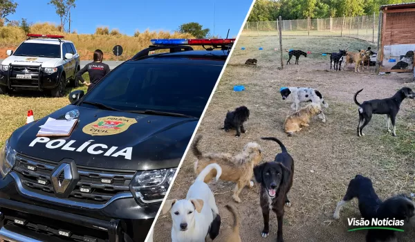 Justiça condena irmãos por maus-tratos a cães em abrigo de animais na região; um deles é veterinário