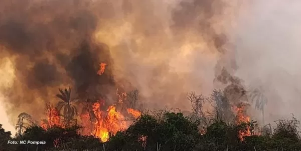 Ação humana é a principal causa de incêndios; confira dicas da Defesa Civil