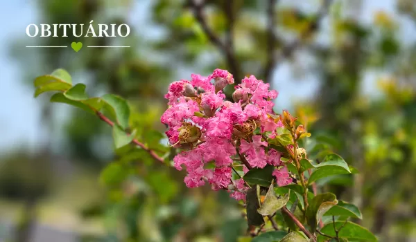 Obituário Visão Notícias: informações desta terça-feira