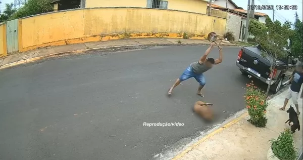 ONG Spaddes insiste na prisão preventiva de homem acusado de matar Pitbull em Pompeia