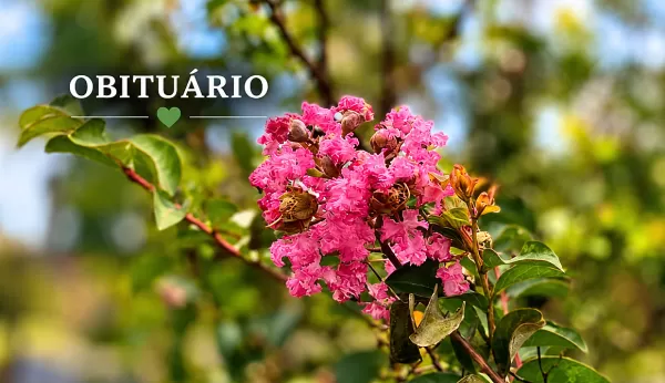 Obituário Visão Notícias: informações atualizadas desta quinta-feira em Marília e região