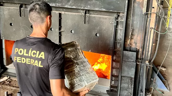 PF destrói droga apreendida em avião que partiu ao meio após pouso forçado