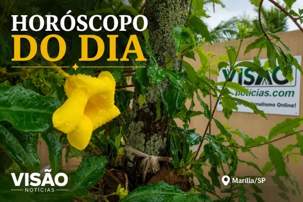 Horóscopo desta quinta-feira: dia favorece boas decisões, crescimento profissional e equilíbrio nas relações