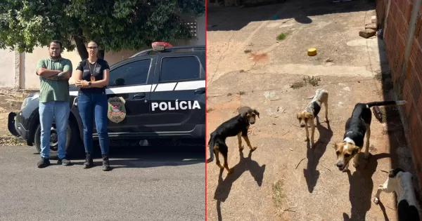 Operação de ONG mariliense Spaddes e Polícia Civil resgatam animais em situação de maus-tratos