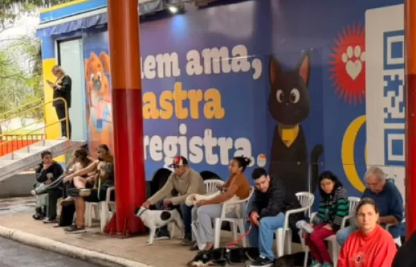 FAZER KLAUS Castramóvel realiza 74 castrações gratuitas em Pompeia