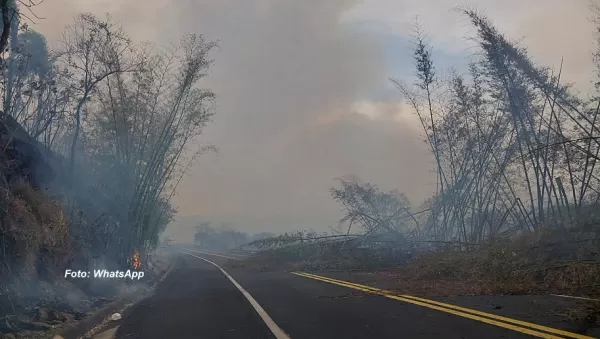 Fogo em vegetação interdita rodovia próximo a Marília
