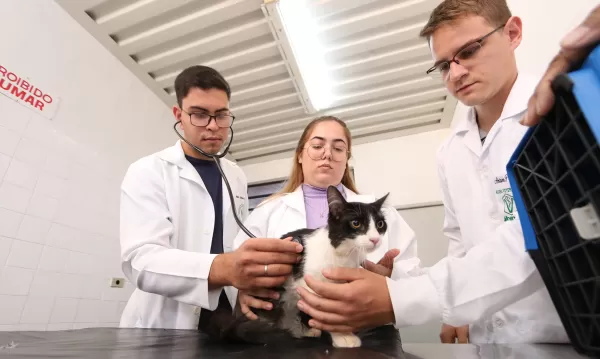 Dia do Médico Veterinário: Unimar homenageia profissionais e reforça tradição de pioneirismo