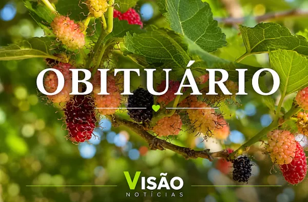 Obituário: confira os registros deste domingo em Marília e região 