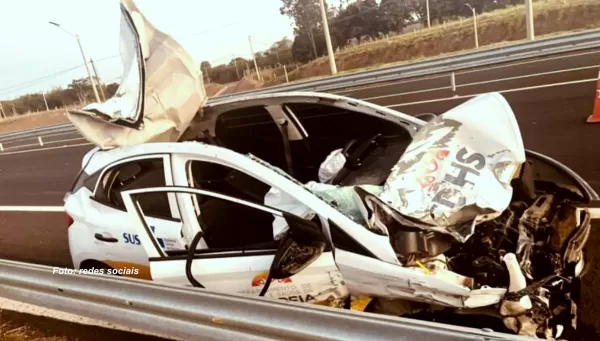 Veículo oficial atropela cavalo na SP-294 em Marília e deixa duas pessoas feridas 