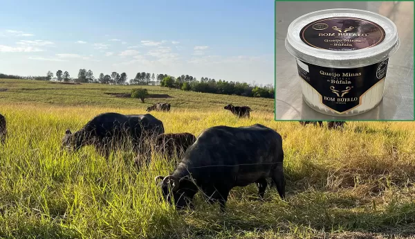 Queijo produzido em Marília receberá 1º Selo Arte da região
