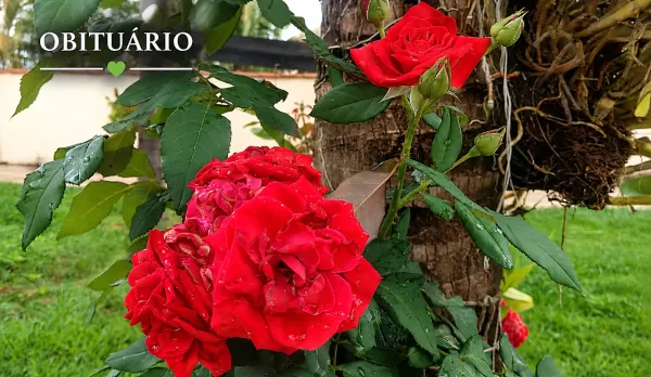 Marília e região: confira o obituário desta segunda-feira 