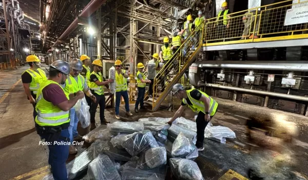 Polícia Civil destrói quase duas toneladas de maconha