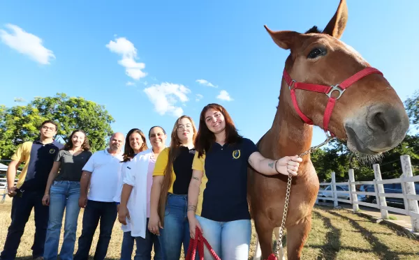 Veterinária da Unimar: acadêmicos têm trabalhos científicos aprovados para conferência
