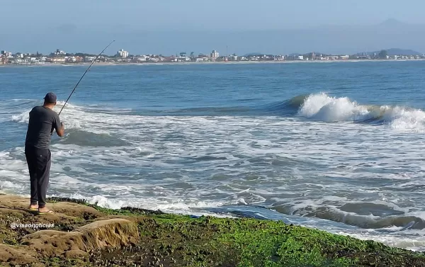 Horóscopo do dia: confira a previsão para esta quinta-feira, dia 26