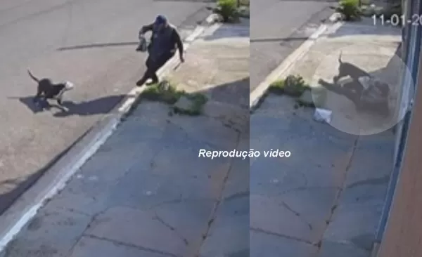 Entregador de panfletos é atacado por pitbull em Marília