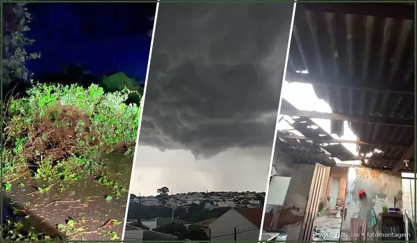 Temporal deixa casas destelhadas, derruba árvores na região e vem mais chuva por aí