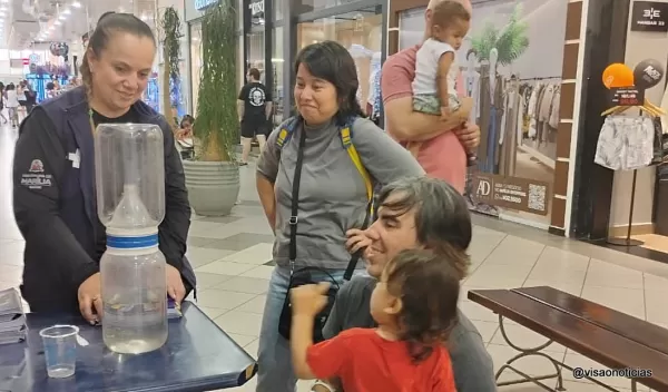 Secretaria da Saúde amplia mobilização de combate à dengue em Marília