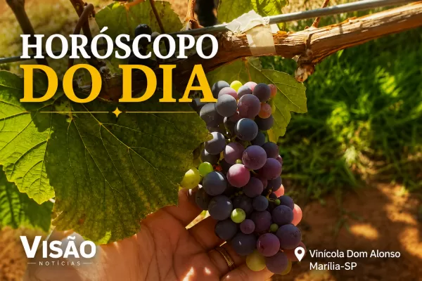 Horóscopo desta segunda-feira: a semana começa com foco, renovação e boas perspectivas
