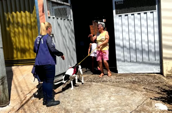 Prefeitura fará mapeamento de animais em Marília