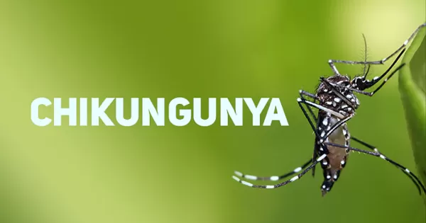 Cidade da região confirma caso autóctone de chikungunya e tem mais cinco suspeitos