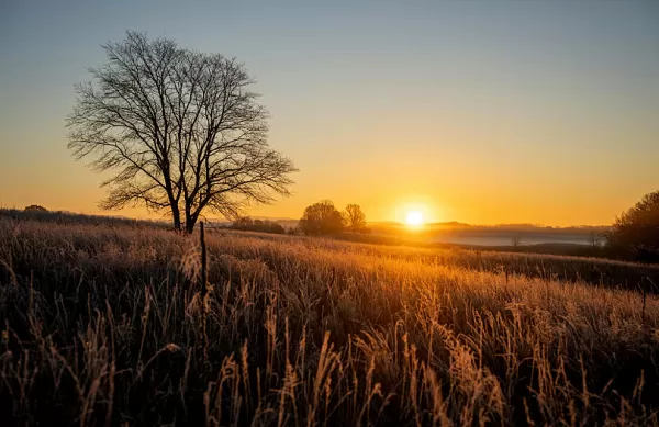 Sepultamentos previstos para esta terça-feira (23)