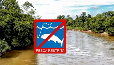 Operação Piracema termina nesta segunda-feira