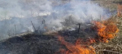 Incêndio em propriedade rural de Marília causa grande prejuízo