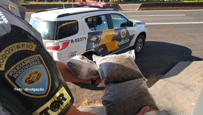 Rapaz é preso com mais de um quilo e meio de Skank em rodovia da região