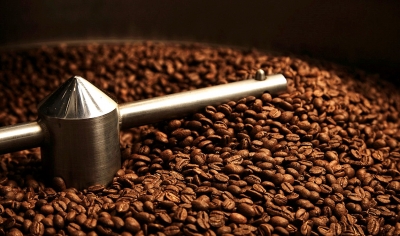 Boas práticas de cultivo e cuidados na seleção e produção dos grãos definem qualidade do café