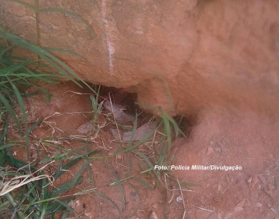 Furto de celular acaba em apreensão de drogas