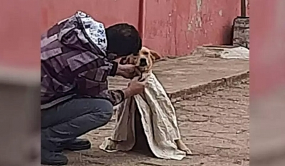 Jovem agasalha cão que tremia de frio nas ruas e ação viraliza na internet