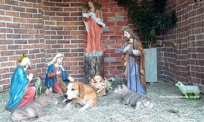 Cachorro chama a atenção ao fazer parte de presépio em igreja