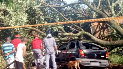 Temporal causa estragos na região. Previsão é de mais chuva