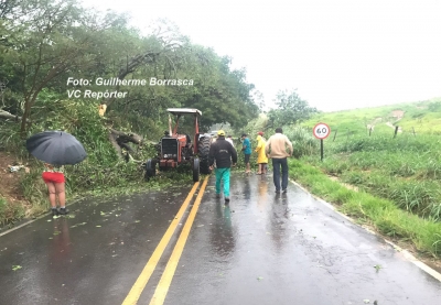 Temporal causa queda de árvores e alagamentos em toda região