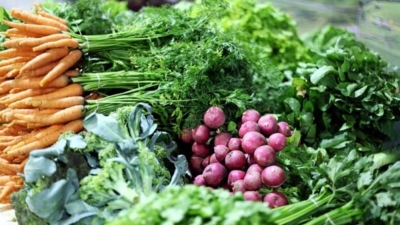 Marília recebe Feira Popular de luta contra os agrotóxicos neste sábado